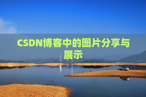 CSDN博客中的图片分享与展示